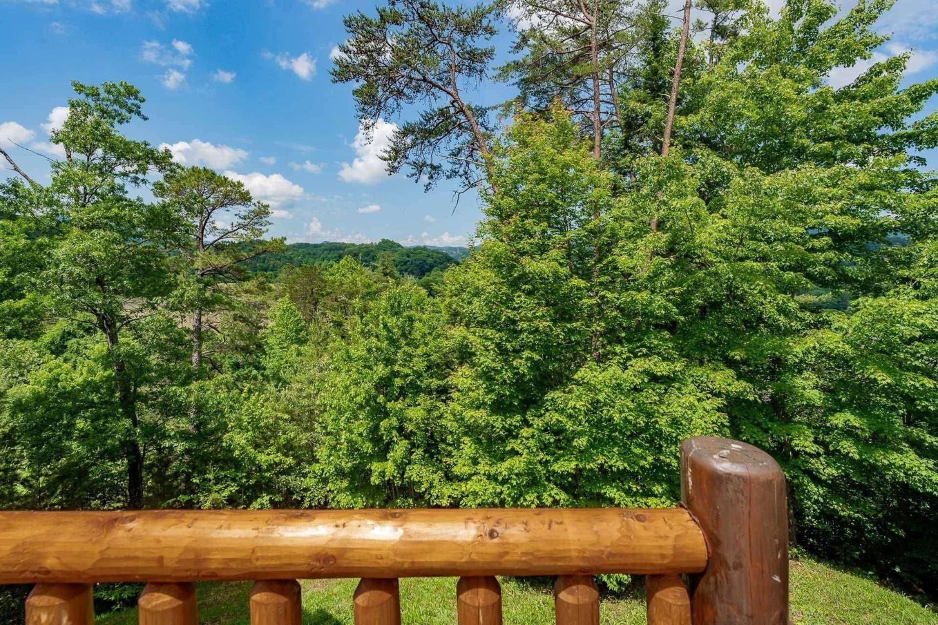 פיג'ן פורג' Mountain Creek Lodge מראה חיצוני תמונה